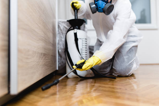 Best Local Pest Control Services  in El Valle De Arroyo Seco, NM