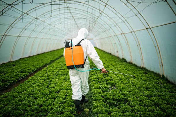 Best Pest Control Near Me  in El Valle De Arroyo Seco, NM