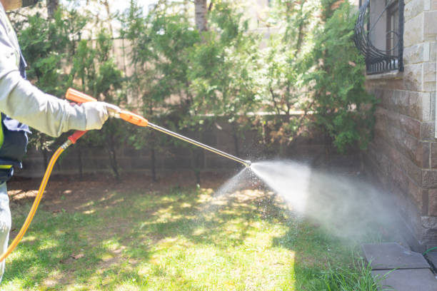 Best Exterminator Services  in El Valle De Arroyo Seco, NM