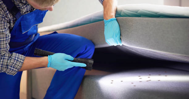 Best Commercial Pest Control Services  in El Valle De Arroyo Seco, NM